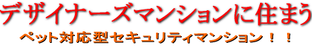 �f�U�C�i�[�Y�E�y�b�g�}���V����