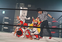 プロレス8