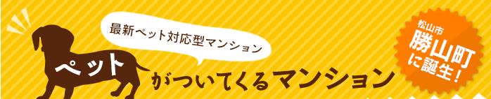 最新ペット対応型マンション「ペットがついてくるマンション」松山市勝山町に誕生！